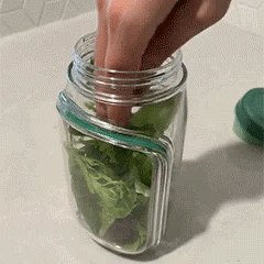 Salad Pod – Knapperig. Vers. Draagbaar.